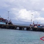 Potensi ikan tuna segar di Biak datangkan devisa negara Rp17 triliun