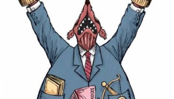 Dugaan Penyelewengan Keuangan di Distrik Wania, BPKP bakal Umumkan hasil Audit