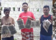 Kandang Ditengah Pemukiman, Peternak Panen Ayam Potong, Warga Panen Lalat, Dinas Diminta Beri Perhatian Serius