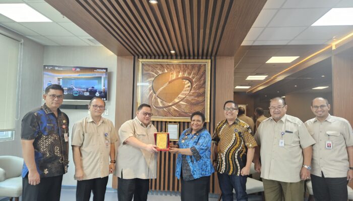 Pemprov Papua Tengah Akan Bangun Rumah Sakit, Target 2026 Sudah Beroperasi