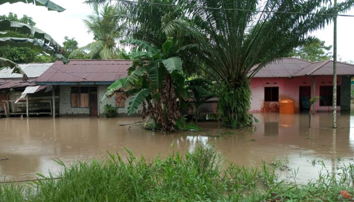 Akibat Banjir, 1653 Jiwa Terdampak, Kepala BPBD Harap Warga Buka Akses Jalan agar Pemerintah Turunkan Bantuan