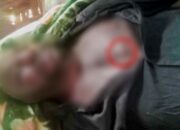 Berulah di Borme, KKB kembali Tembak Mati Warga Sipil