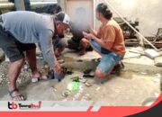 Lancarkan Aksinya, SatRes Narkoba Polres Mimika berhasil Ciduk Pelaku Pengedar Sabu-Sabu