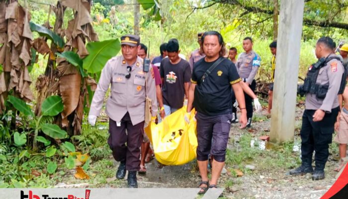 Seorang Pria Gantung Diri di atas Pohon, Polres Mimika Serahkan Jenazah ke Pihak Keluarga