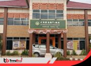 1.400 Ekor Babi di Nabire Mati Terserang Virus ASF, Karantina Papua Tengah Perketat Pengawasan di Bandara dan Pelabuhan