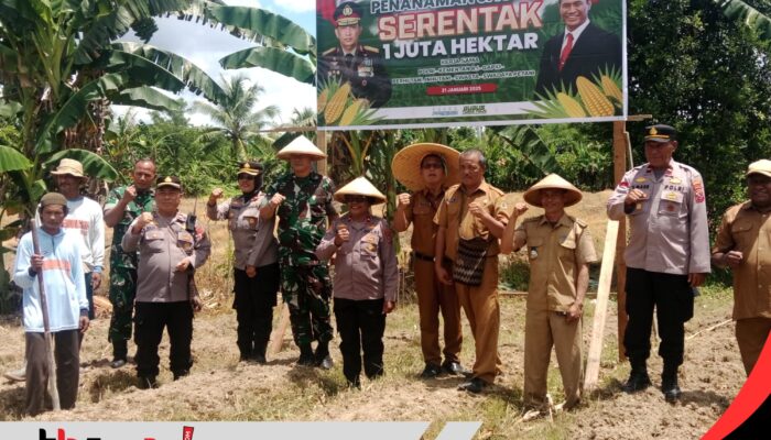 Dukung Ketahanan Pangan Lokal Melalui Penanaman Jagung Serentak 1 Juta Hektar, Ini Harapan Kapolres Mimika