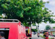 Bapenda dan BPBD Mimika Bersihkan Papan Reklame dan Pohon Demi Keamanan dan Kenyamanan Masyarakat