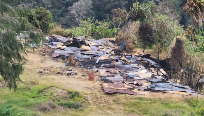 TNI Tegaskan Tak Bakar Rumah Warga, Kapendam: Ini HOAX OPM Untuk Adu Domba