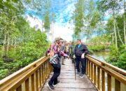 Utusan Seychelles Terkesima! Mangrove Pomako Investasi Alam Dan Ekowisata Berkelanjutan