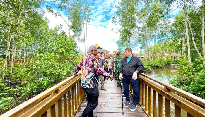 Utusan Seychelles Terkesima! Mangrove Pomako Investasi Alam Dan Ekowisata Berkelanjutan