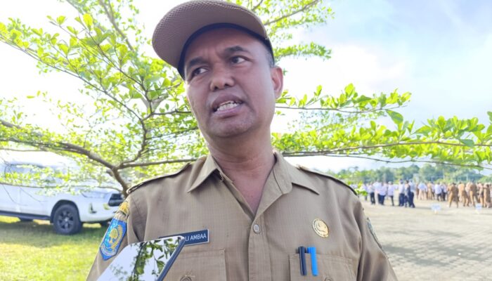 Harga Cabai di Mimika Capai Rp 90 Ribu, Disperindag: Faktor Cuaca dan Ketersediaan Jadi Penyebab