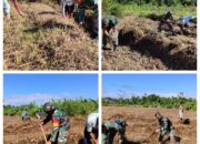 Warga Kompak Bersama Satgas TMMD Membuat Bedengan di Lahan Hanpangan