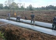 Satgas TMMD 124 Kodim 1710/Mimika Bersama Poktan Noken Naena Terus Kejar Target Penanaman Di Lokasi Pembukaan Lahan Tidur