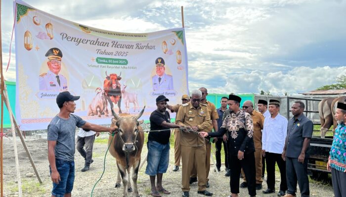 45 Ekor Sapi Qurban Disalurkan, Bupati Mimika Pastikan Distribusi Adil dan Tepat Sasaran
