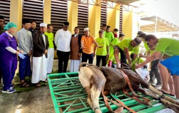 Kurban di Masjid Miftahul Huda Jadi Sorotan: Etis, Bersih, dan Dapat Pujian Bupati