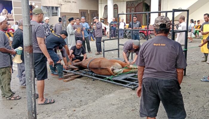 DKM Al-Azhar Sembelih 6 Sapi dan 1 Kambing, dr. M. Bustaman: 350 Paket Akan Dibagi Kepada Warga