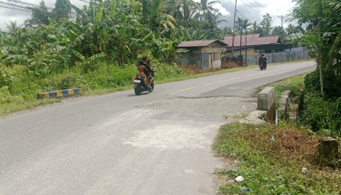 Jalan Rusak di Kampung Kaugapu Luput Dari Perhatian Pemerintah, Saverius: Pegawai Banyak, Tapi Tidak Turun Lapangan