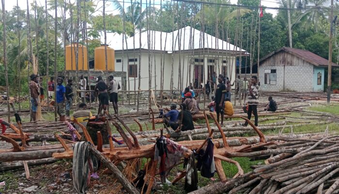 Masyarakat Kampung Kaugapu Bangun Rumah Adat Karapao, Kristian Inawauw: Bentuk Tanggung Jawab Ipar dalam Budaya Suku Kamoro