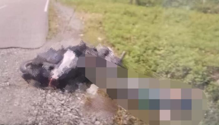Dibacok dan Ditembak di Jembatan Kali Biru, Anggota Kodim 1715/Yahukimo Gugur, Kapendam Cenderawasih: Aparat Lakukan Pengejaran Pelaku