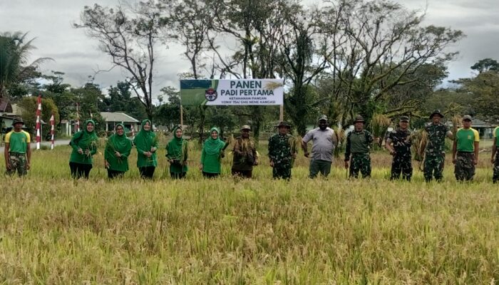 Dari Lahan Tidur Menjadi Lahan Produktif, Yonif 754/ ENK Panen Padi Pertama