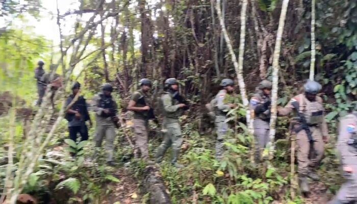 KKB Pimpinan Kalenak Murib Tembak Warga Sipil dan Bakar Honai di Puncak, Tiga Orang Meninggal Dunia
