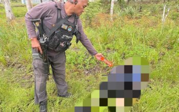 Satgas Ops Damai Cartenz Dalami Kasus Pembunuhan Warga Sipil di Dekai, Yahukimo, Diduga Dilakukan KKB