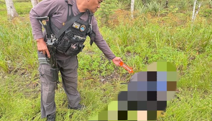 Satgas Ops Damai Cartenz Dalami Kasus Pembunuhan Warga Sipil di Dekai, Yahukimo, Diduga Dilakukan KKB