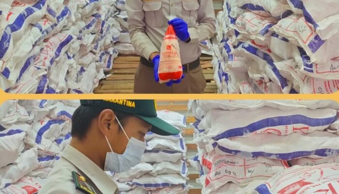 Pastikan Aman Konsumsi, 53 Ton Daging Ayam Beku Diperiksa Karantina Nabire