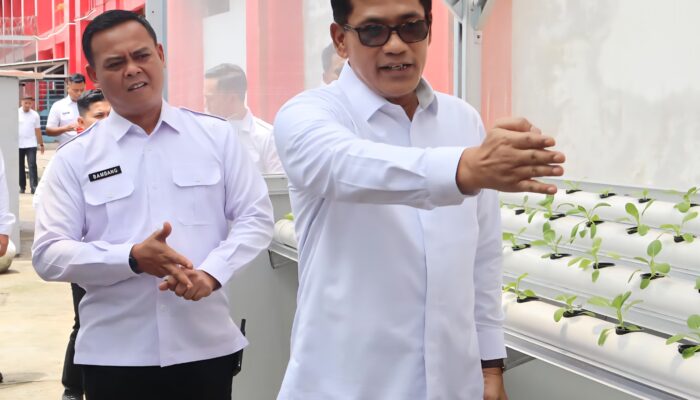 Soal Amnesti-Abolisi Hasto dan Tom Lembong, Stafsus Abdullah Rasyid: “Kemen IMIPAS Siap Tindaklanjuti Keputusan Presiden