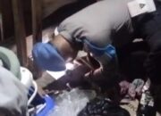 Sepasang Sutri Diamankan Polisi Bersama 52 Plastik Berisi Milo Jenis Sopi