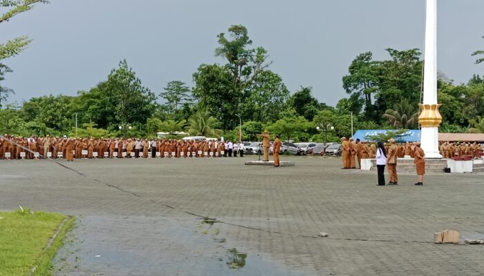 Mulai Hari Ini, Pemda Mimika Resmi Buka Seleksi Pengisian Jabatan Tinggi Pratama, Simak Daftar OPD yang Bisa Diikuti