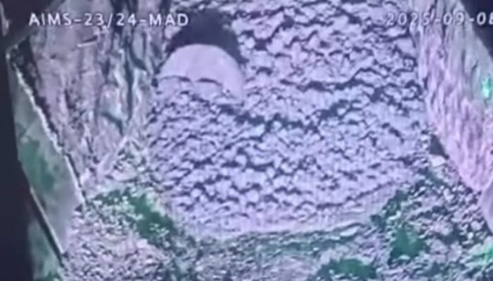 Longsor yang terjadi di Areal Tambang PT Freeport, 7 Pekerja Belum Diketahui Nasibnya