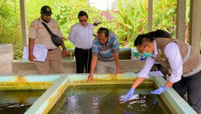 Waspada Penyakit Ikan, Karantina Gelar Pemantauan HPI/HPIK Di Mimika