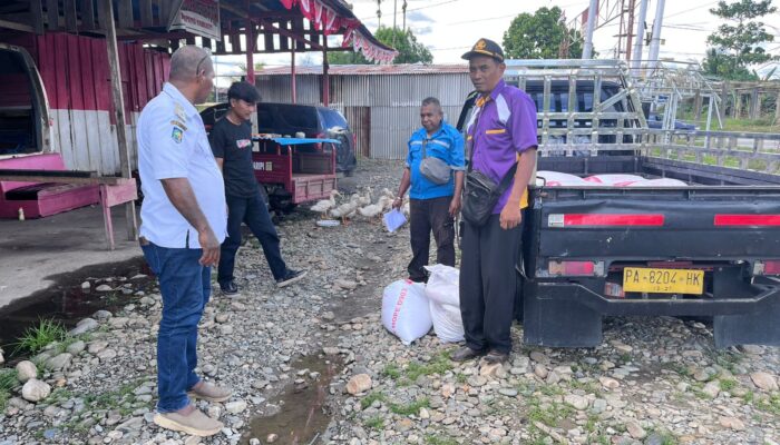 Puluhan Itik Bantuan Disnakeswan Mati, Warga Nawaripi Butuh Pendampingan