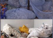 Distrik Miru Wajibkan Setiap Kelurahan Punya Bank Sampah Tahun Depan Dana Rp2,5 Miliar Disiapkan