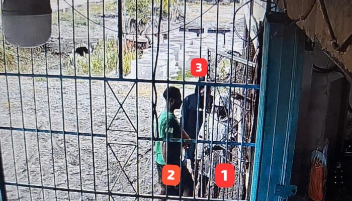 Satgas Ops Damai Cartenz Selidiki Kasus Penikaman Warga Pendatang di Dekai, Yahukimo