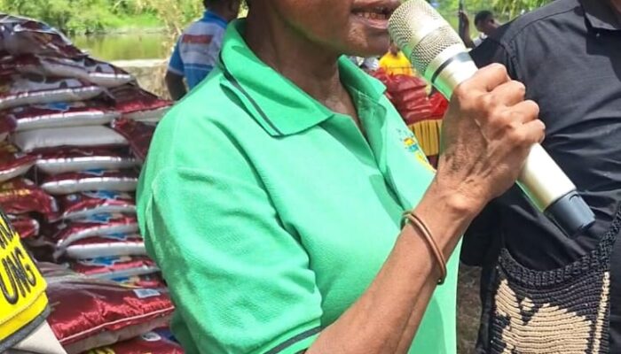 Beras Premium 1 kg Dijual Seharga Rp.1000