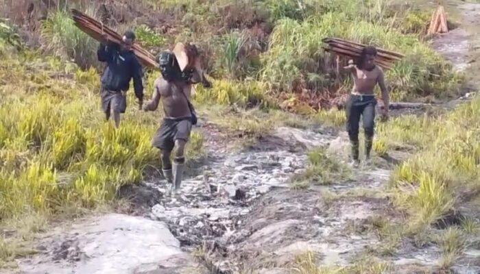 Kepala Suku Dani di Puncak Terima Bantuan Honai dari Presiden Prabowo