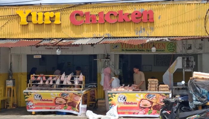 Jelang Natal, Harga Ayam dan Daging di Timika Masih Normal, Pedagang Waspadai Kenaikan