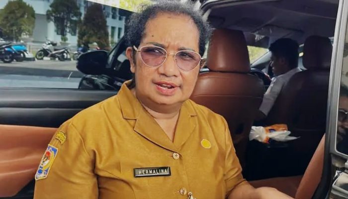 Pemkab Mimika Pastikan Buka CPNS 2026, Kuota 274 Formasi dengan Skema 80 Persen OAP