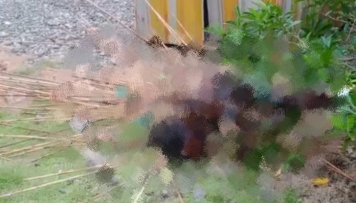 Jenazah Korban Pembunuhan di Kwamki Narama Belum Dimakamkan, Polisi dan Keluarga Berkoordinasi Putuskan Tempat Pemakaman