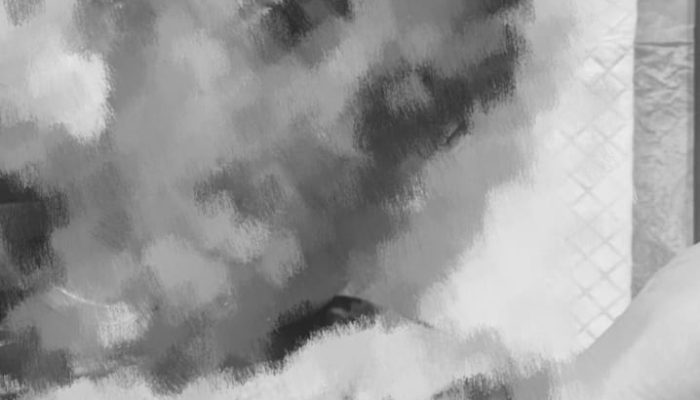 Dikeroyok Enam Orang Usai Hadiri Acara Keluarga, Pemuda AD Ditikam di Jalan SP 1 Timika