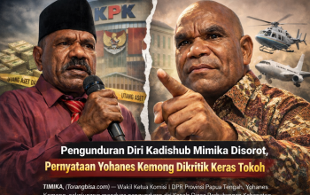 Polemik Mundurnya Kadishub Mimika, Kibak Sebut Kemong Tendensius dan Sarat Dendam