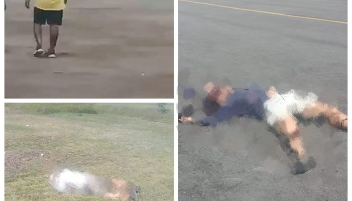 Pesawat Smart Air Diserang OTK di Boven Digoel, Pilot dan Kopilot Dilaporkan Tewas