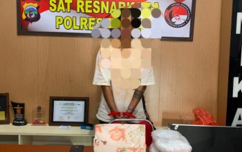 Seorang IRT di Timika Diamankan Polisi Setelah Terima Paket Diduga Ganja dari Jayapura