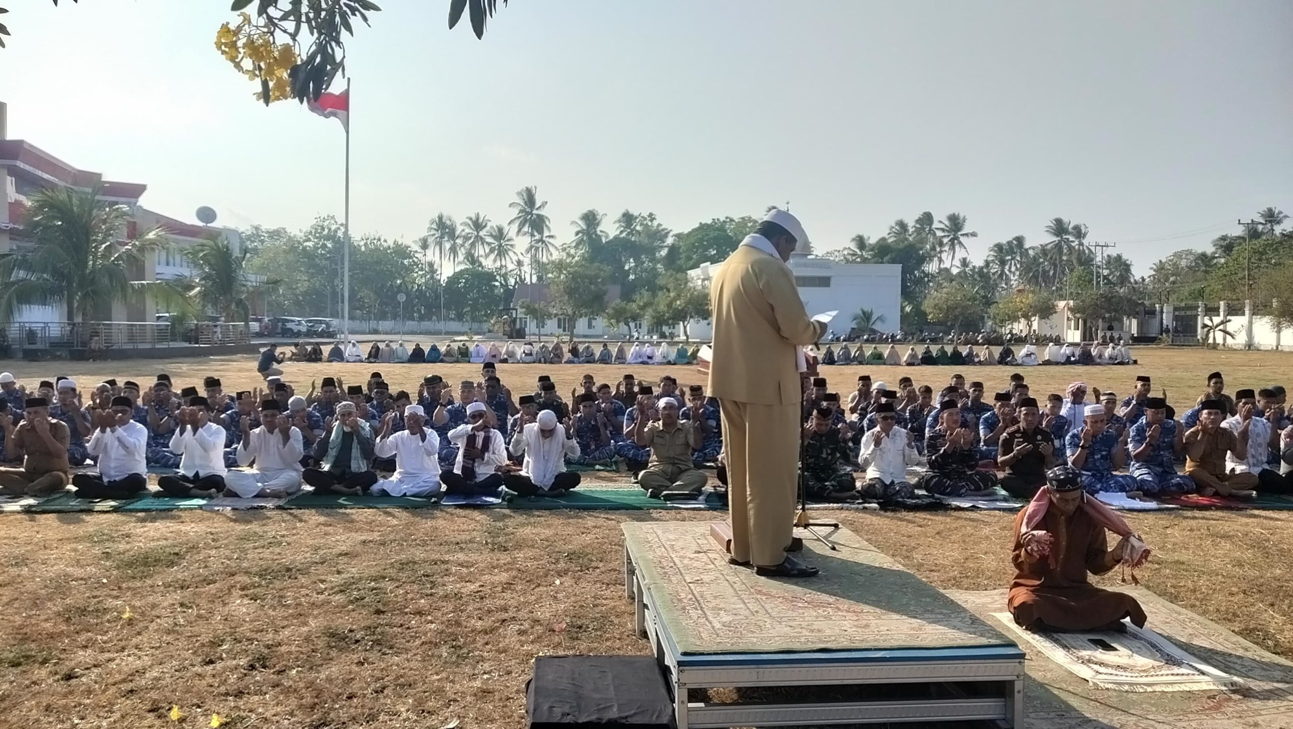 Dinas Pertanian Morotai Siapkan Bibit Pengganti untuk Petani Terdampak Kemarau