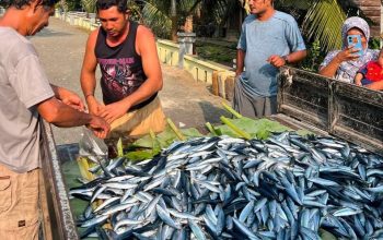 Hasil Rompong Pertama Desa Towara Dibagikan Langsung, Seluruh Masyarakat Ikut Merasakan
