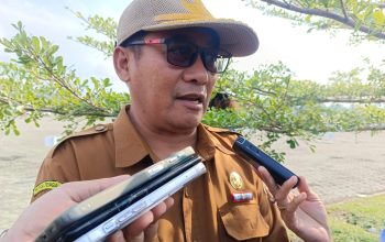El Nino Ancam Produksi Pertanian Mimika, DTPHP Siapkan 12 Titik Jaringan Irigasi Air Tanah
