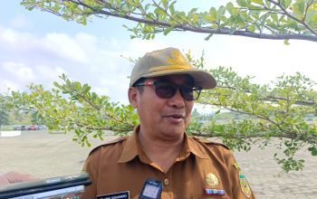 Mimika Dorong Pengembangan 7.000 Hektare Lahan Pertanian, Sawah SP7 Akan Diperluas