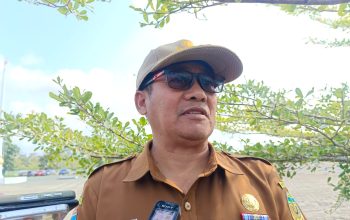 Mimika Punya 300 Ribu Hektare Sagu, 100 Hektare Dipelihara Tahun Ini